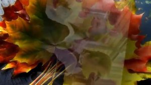 Здравствуй, школа!