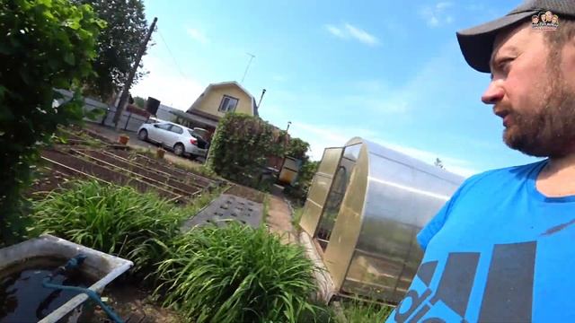 ВЛОГ! Перекосил весь огород?/Новый триммер«СТАВР»1400 в работе?Дачные будни/Простая жизнь Голдобины смотреть онлайн