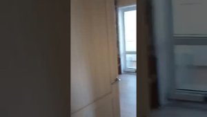 Крым Ялта Мисхор аренда жилья посуточно