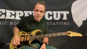 Ibanez PIA Review (owners version)