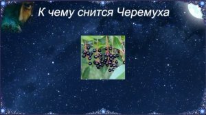 К чему снится Черемуха (Сонник)