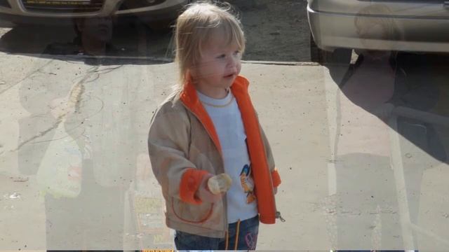 Vycházka смотреть онлайн