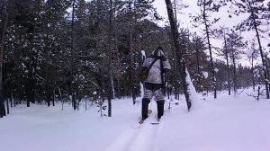 Хозяйка тайги