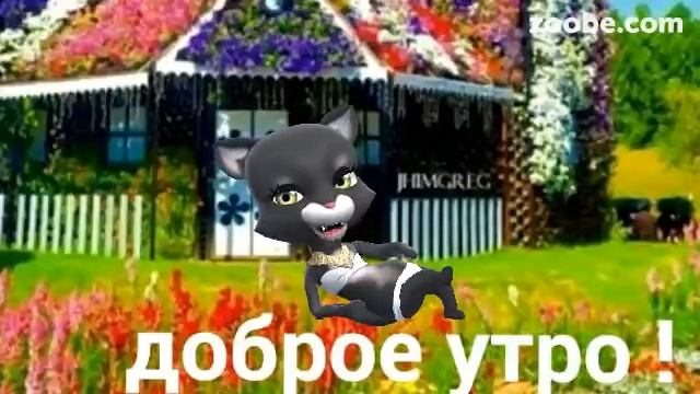 Утренние пожелания