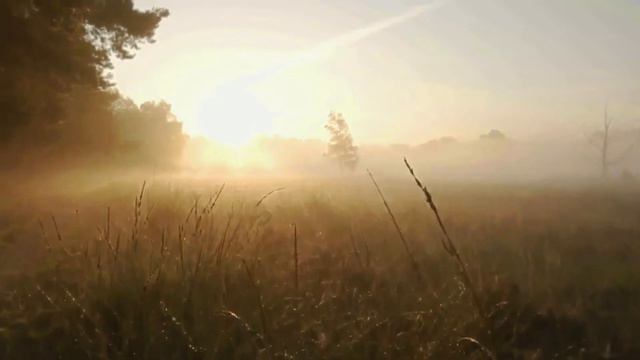 А ЗАРЯ ЗАРЯ клип4