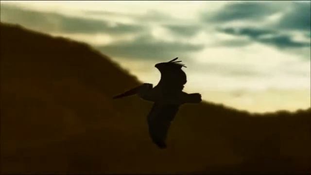 Если счастье на сегодня, то когда? НАУЧИ ХОРОШЕМУ смотреть онлайн