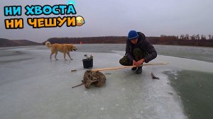 Такая хорошая зимняя рыбалка, что лучше б не ходил)