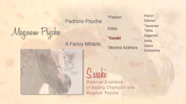 VAN GOGH AM смотреть онлайн