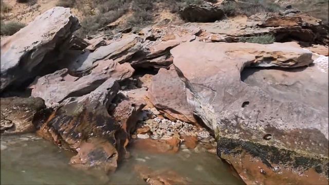 Саркел
