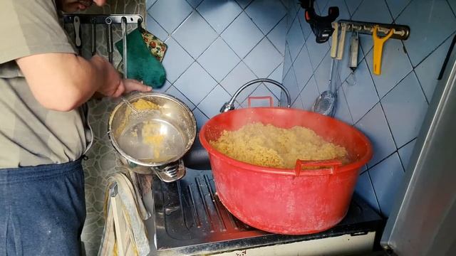 Хочу много грибов и мицелия 6 смотреть онлайн