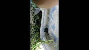 Как заварить БЕНЗОБАК и не ВЗОРВАТЬСЯ!!!