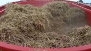 Первый запуск измельчитель-кормораздатчик Metal-Fach t659 8куб.м. (производство Польша)