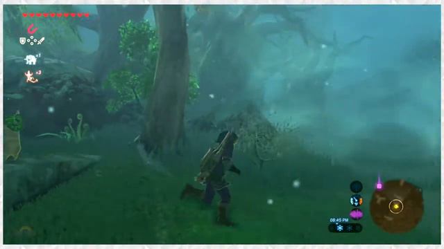 LOST PILGRIMAGE | Legend of Zelda: Breath of the Wild - BLIND PLAYTHROUGH (Part 88) - SoG смотреть онлайн