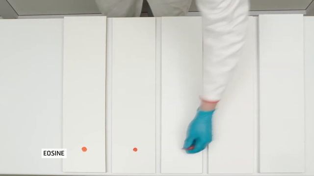 NETTOYABILITE  POLYREY Lab Test