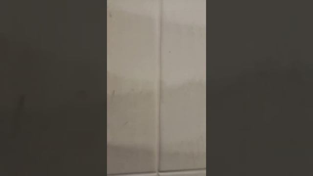 Как быстро отмыть швы плитки, в туалетной комнате.. От ТаБаЧнОгО ДыМа