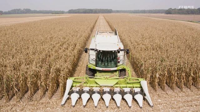 Новый TUCANO 2019. Часть 2 обзор изменений и новых опций. смотреть онлайн