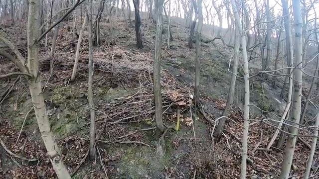 Прага. Достопримечательности, которые лучше не показывать туристам.
