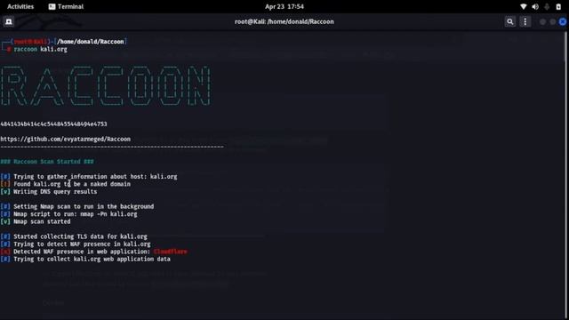 How to gather information using raccoon смотреть онлайн