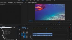Как сделать эффект аудио под водой в Adobe Premiere Pro? (звук под водой)