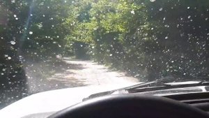 Кодорское ущелье Абхазия Военно-Сухумская дорога