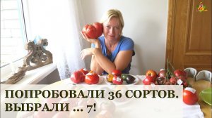 36 сортов томатов за раз! Дегустация удалась:)