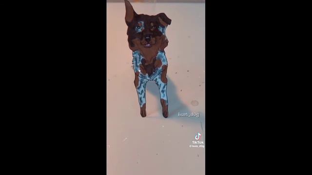 сборник видео про бумажных собак