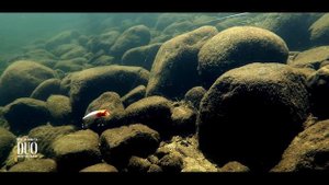 Lure Masterclass: Tetra Works Fura Fura - How To