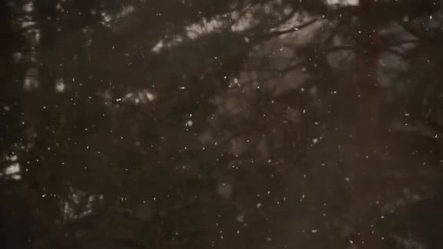 Сонные Сказки для Взрослых/Три истории от Кэтрин Николай. АСМР призванная погрузить вас в Сон.