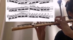 Hindamith symphonic Metamorphosis Movement 3 - Flute Lesson Tutorial With @katiemeluaflute23