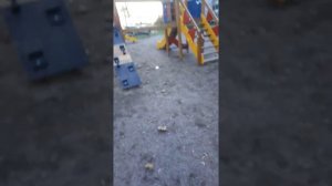 Пацан кидается сегоретами и лазит по помойке