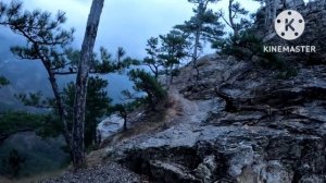 Ялта зимой, прогулка по Боткинской тропе