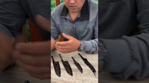 Леонид Васильев о покрытии своих клинков