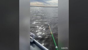Рыбалка на Белом море🌊Ловим Камбалу🎣