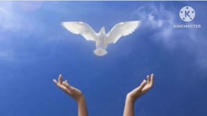 Свидетельство р. Б. Марины. Часть 3. Об отроке Вячеславе пророка последнего времени, Чудотворце.