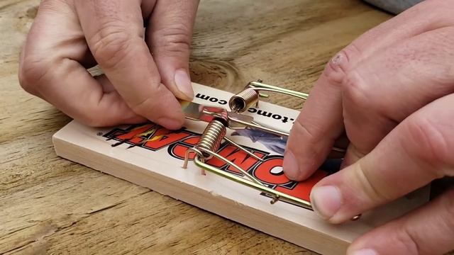 How to Use the TomCat Rat Trap смотреть онлайн