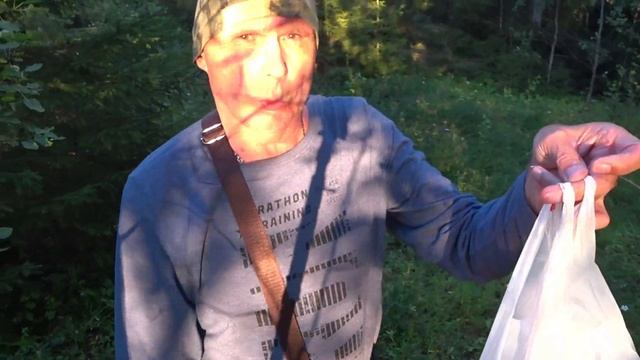Вечерняя прогулка по трассе, зашёл в лес