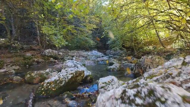 2 День 4-дневного забега Crimea X Run 2016 смотреть онлайн