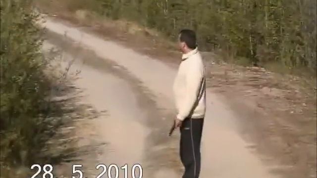 история