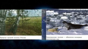 География 9кл. §4 "Велики равнины России - Восточно-европейская и Западно-Сибирская"