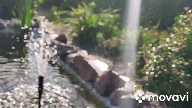 Дачный обзор//Донна Роза// про внучку смотреть онлайн