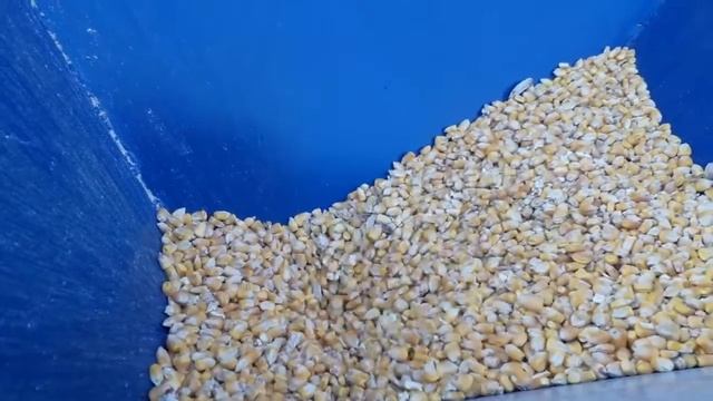 Зернодробилка для заказчика из Воронежа на решете 4 мм, с новым загрузочным бункером смотреть онлайн