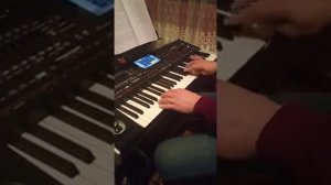 Шалахо на кларнете и гармон Korg pa 4x