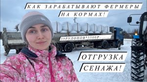 В ожидании отёлов и опоросов! Новости Молодой фермы! Заказала новый инкубатор!