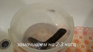 Коряга для аквариума своими руками