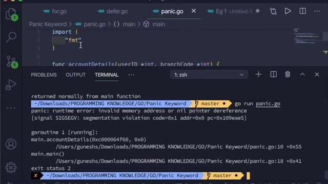 Go Tutorial (Golang) 24 - Panic Keyword in Golang