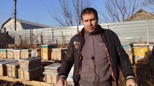 Когда заносить пчел в зимовник. Как зимовать в доме Не зимуй в помещении пока не посмотрел это виде