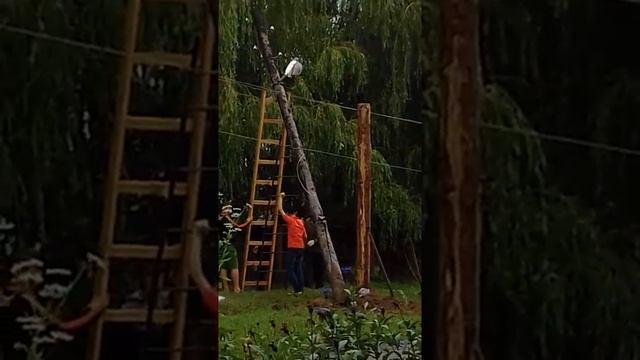 Курская область  Железногорский район  село  Михайловкаулица  строительная в поселке упал  столб