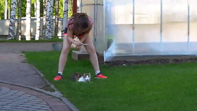 Живём в колтушах