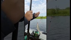 рыбалка в поречье