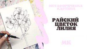 Как нарисовать Лилию, графика.
Простой урок рисования , арт-цвето терапия, медитативное рисование